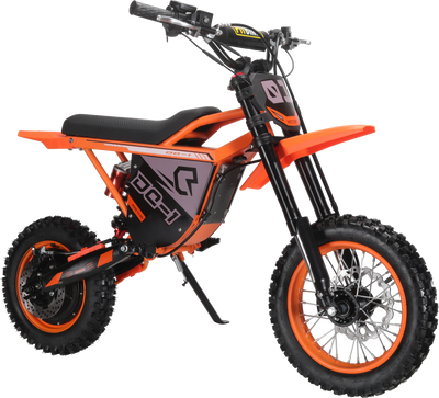 Electric Dirt Bike 48V 1000W for Adults and Teens